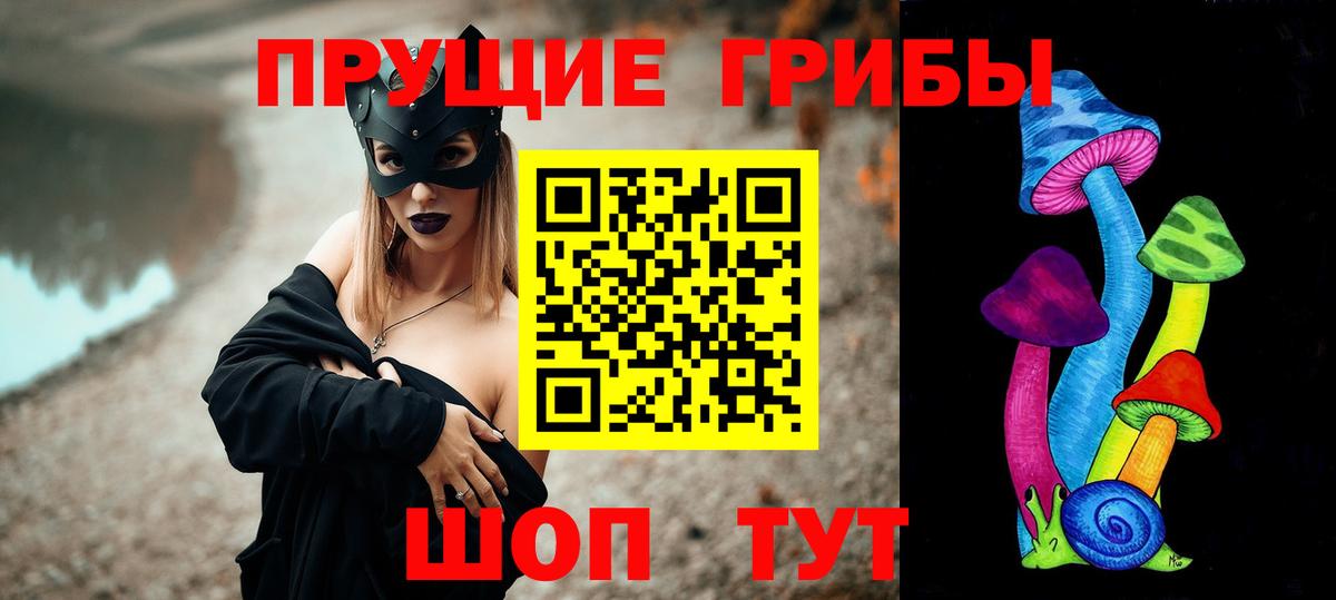 Галлюциногенные грибы Psilocybe Знаменск