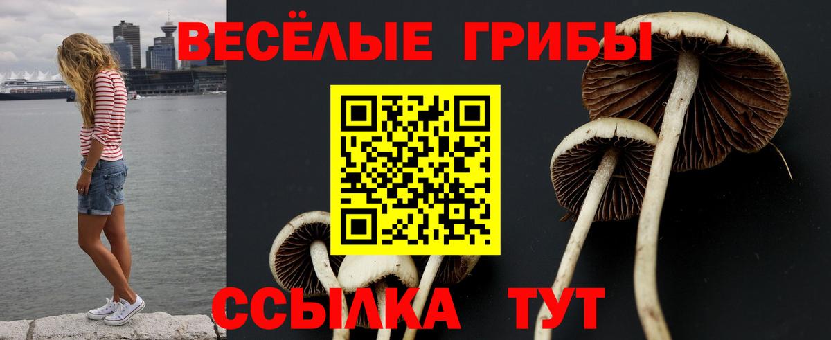 Гашиш  Каннабис  Знаменск  Вход с VPN  ЭКСТАЗИ  Меф   Cocaine 